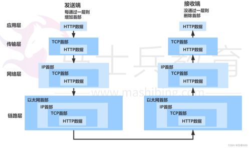 計算機網(wǎng)絡(luò)信息管理與服務(wù)